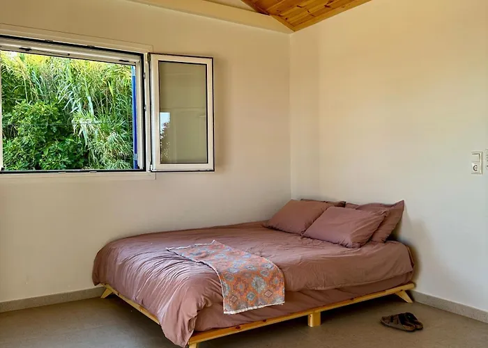 Ef Zin - Zaga House Корони