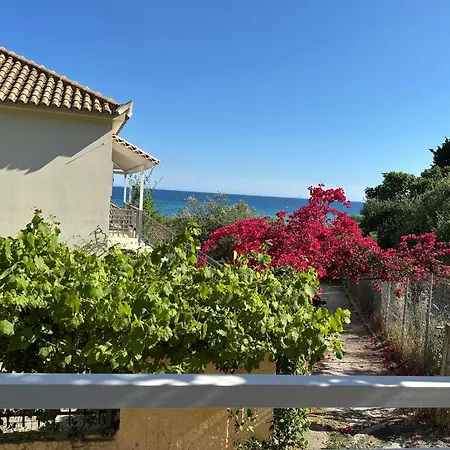 Ef Zin - Zaga House *