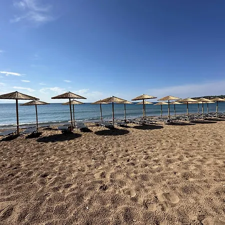 Ef Zin - Zaga House Casa vacanze