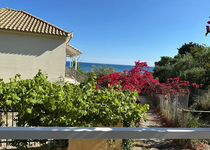 Ef Zin - Zaga House *